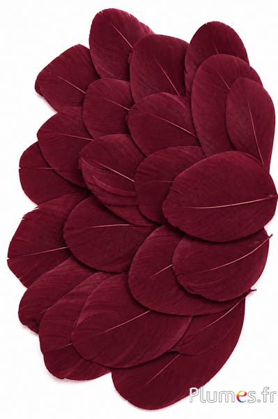 Pluimenblaadjes - 6-8 x 3-4 cm - bordeaux